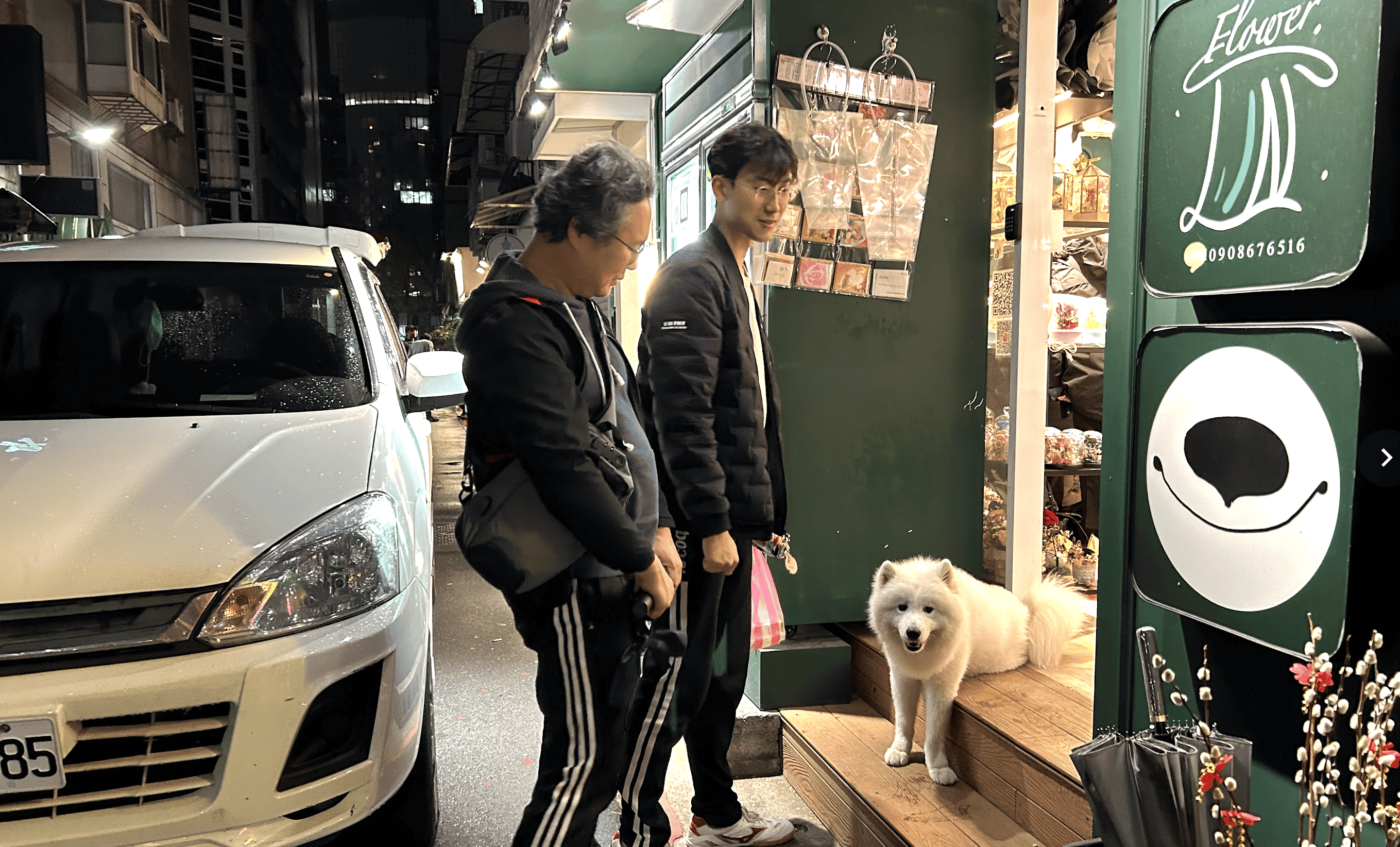 동내를 누비다 발견한 사모예드 샤샤. 참 순둥순둥하고 귀여웠습니다